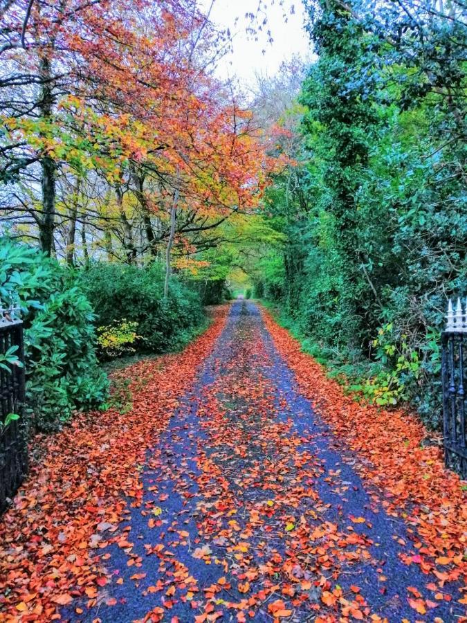 O'Harabrook Country House Ballymoney Exteriér fotografie