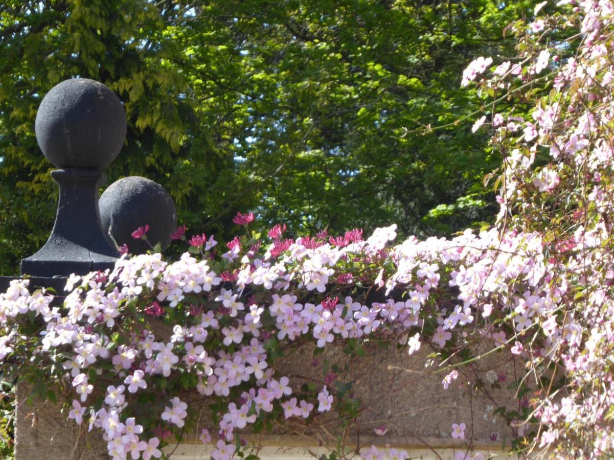 O'Harabrook Country House Ballymoney Exteriér fotografie
