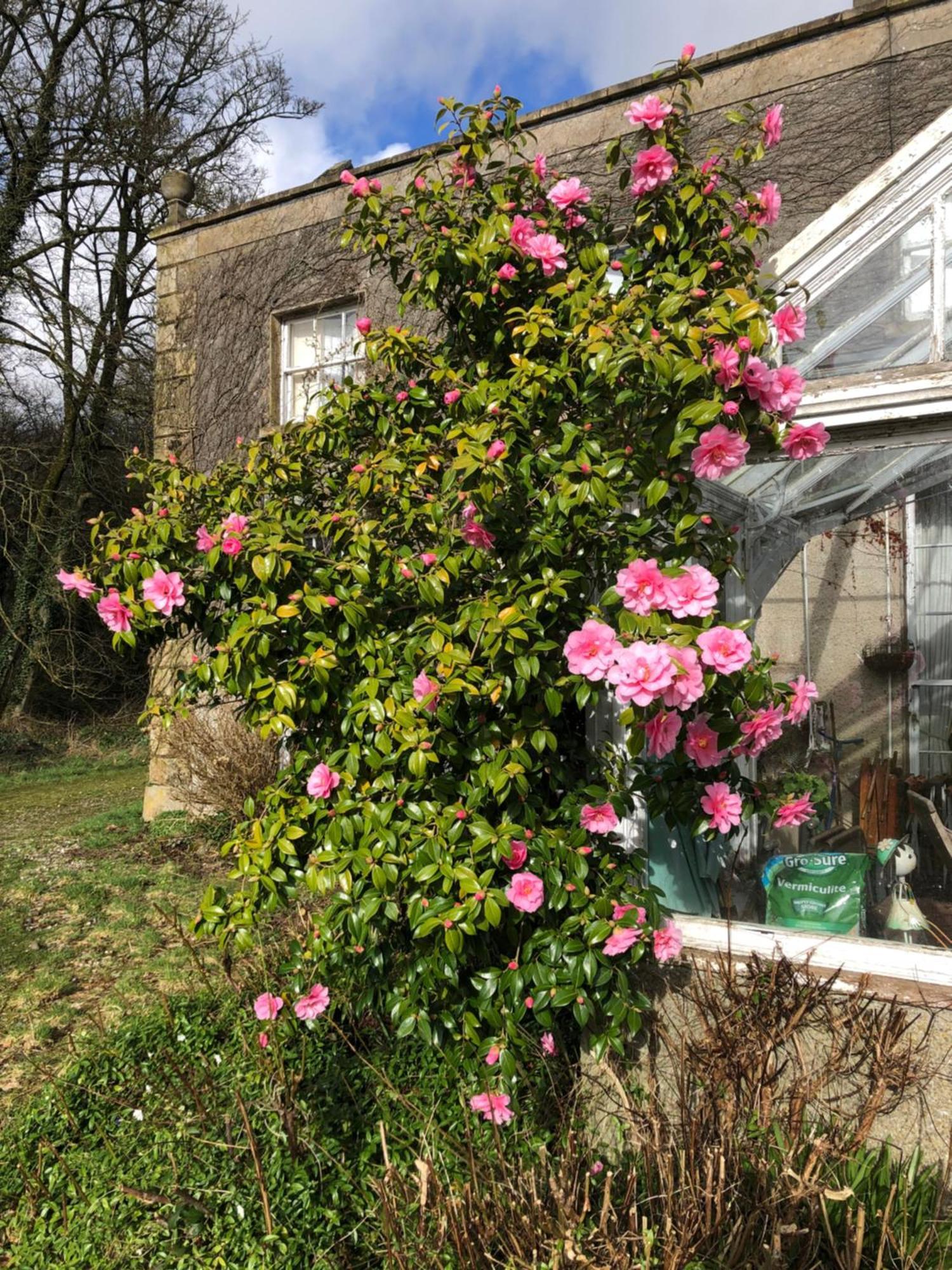O'Harabrook Country House Ballymoney Exteriér fotografie