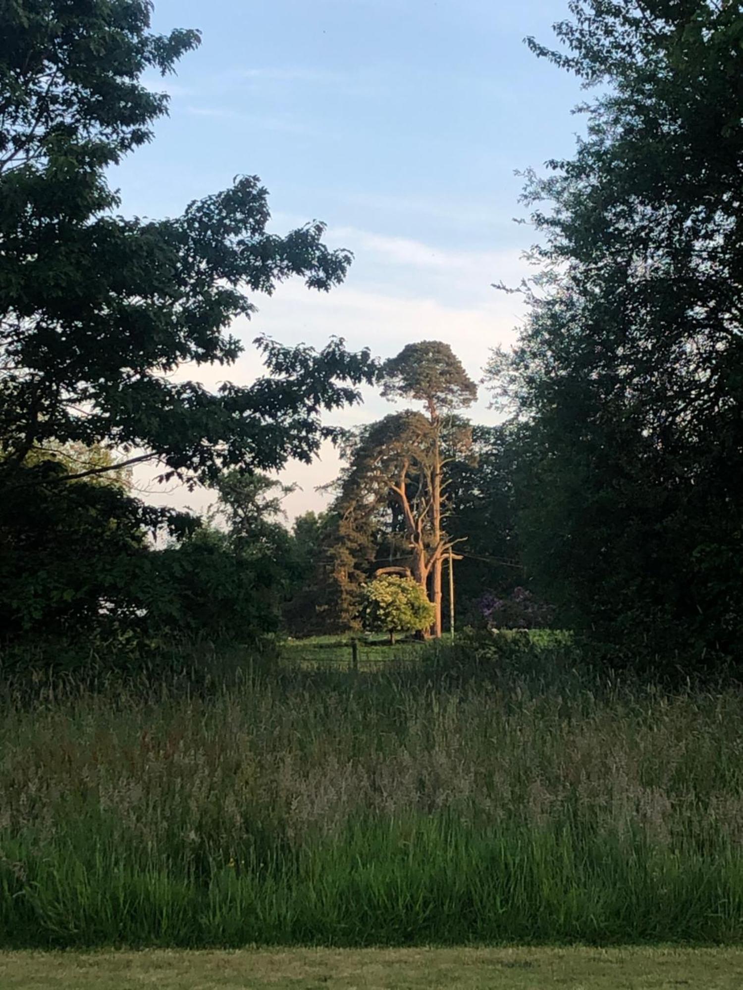 O'Harabrook Country House Ballymoney Exteriér fotografie